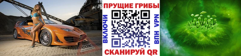 Псилоцибиновые грибы ЛСД  Рубцовск 